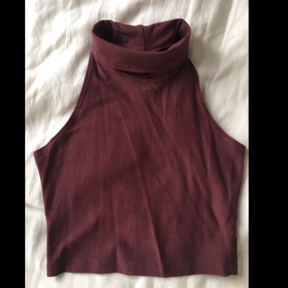 Crop Turtleneck top (american apparel)